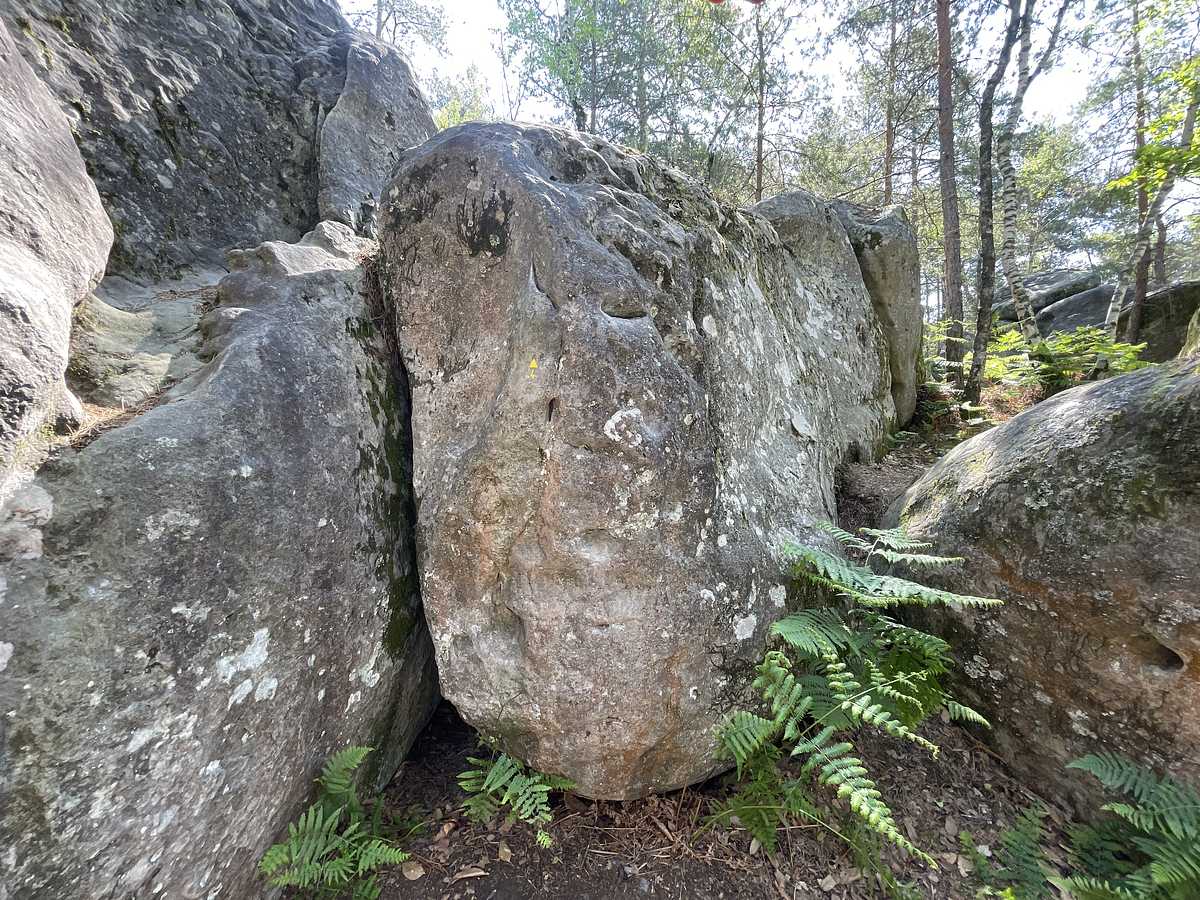 Pourquoi Pas – Bois Rond