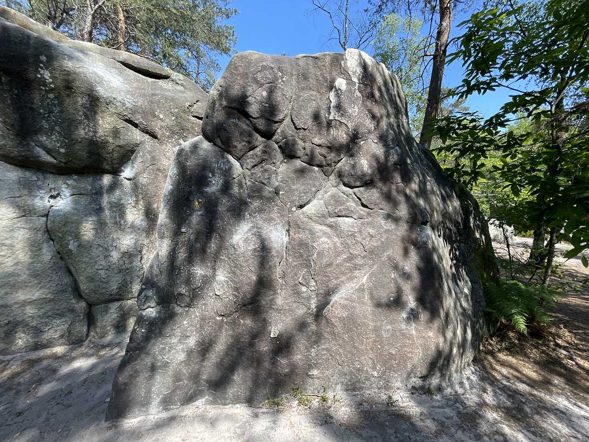 La Belle Arête – Bois Rond