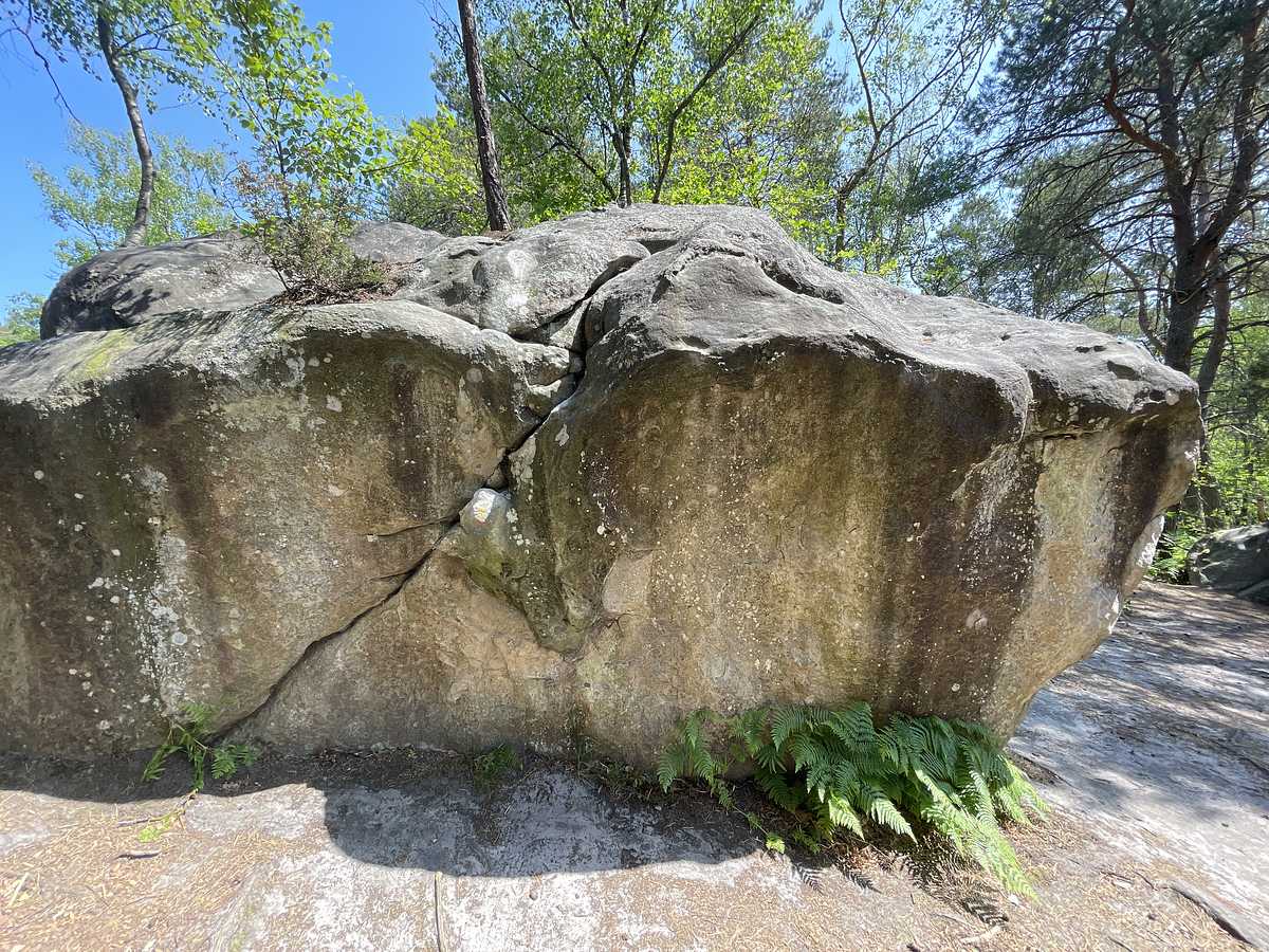 La Rébarbative – Bois Rond