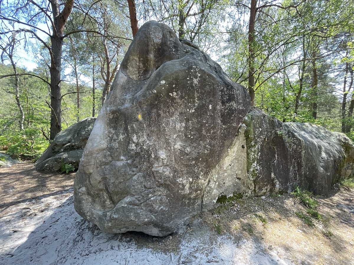 L'Obèse – Bois Rond
