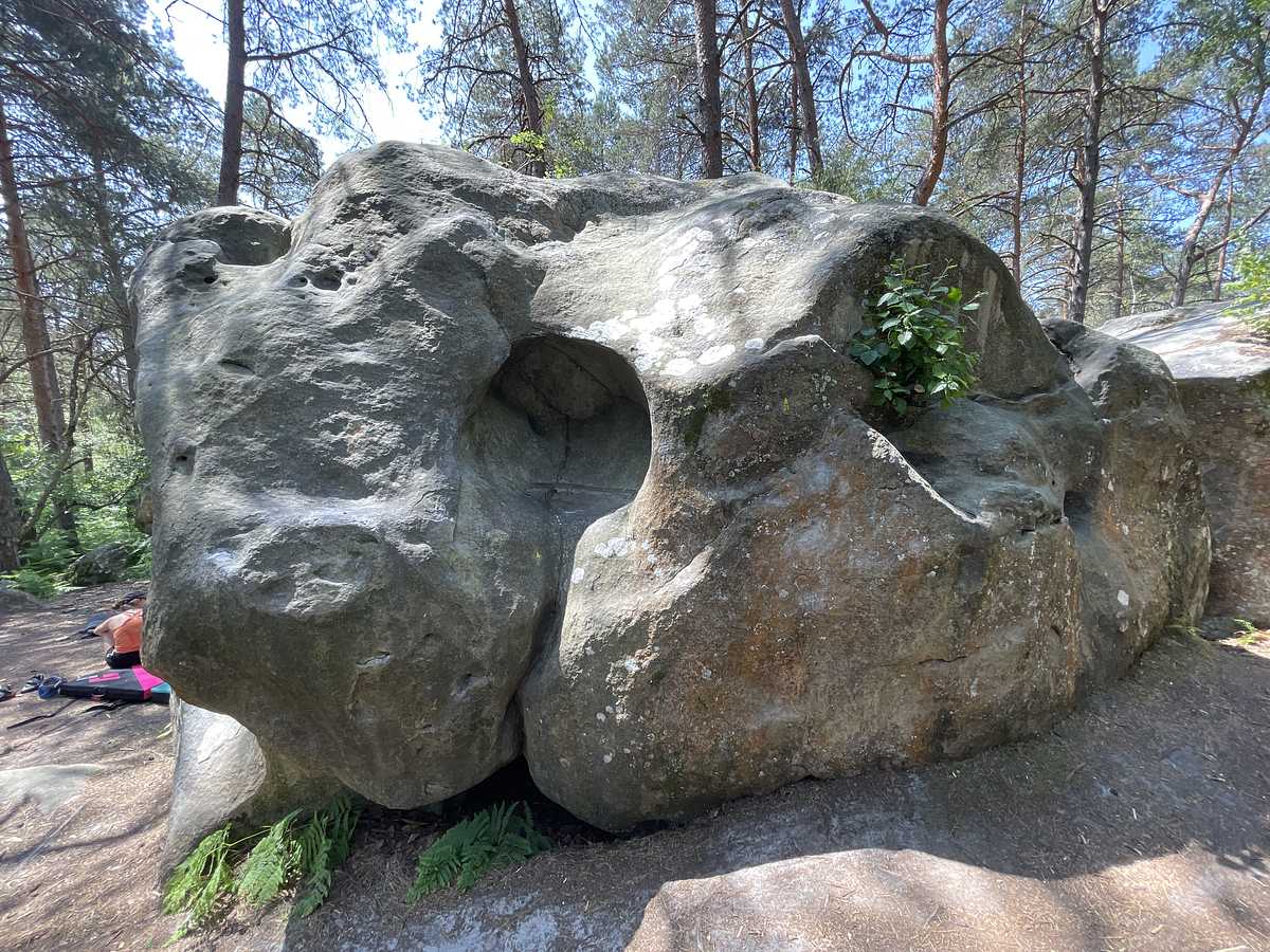 Le Pilier de la Niche – Bois Rond