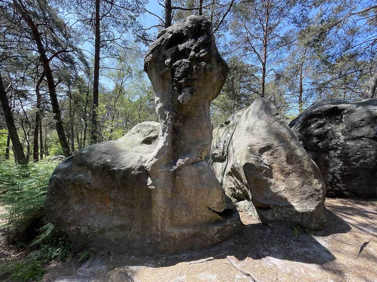L'Obélisque – Bois Rond