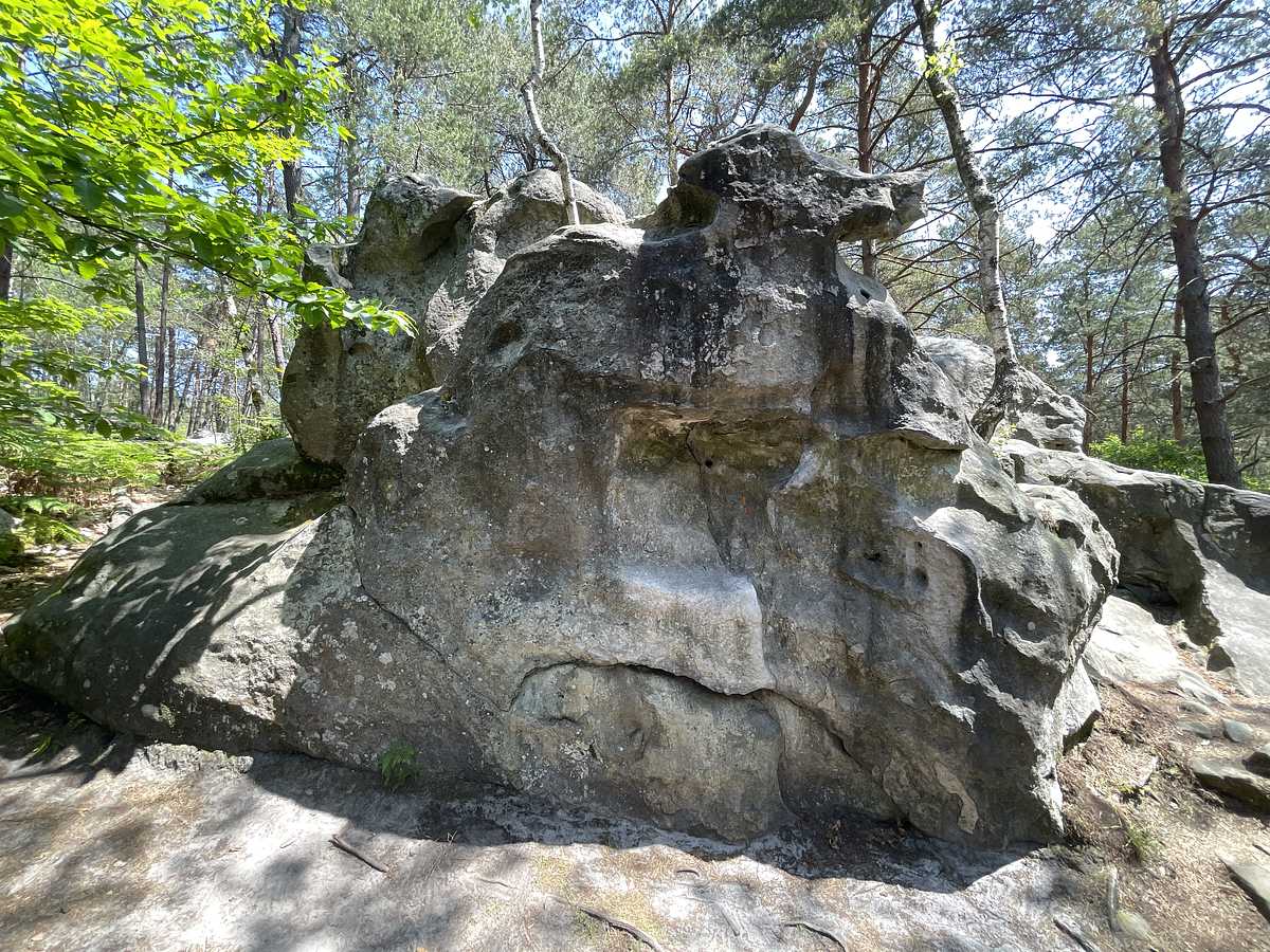 Ligne Maîtresse – Bois Rond