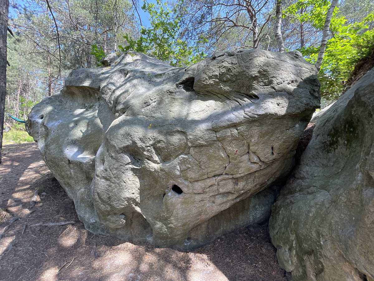 Chemins Croisés – Bois Rond