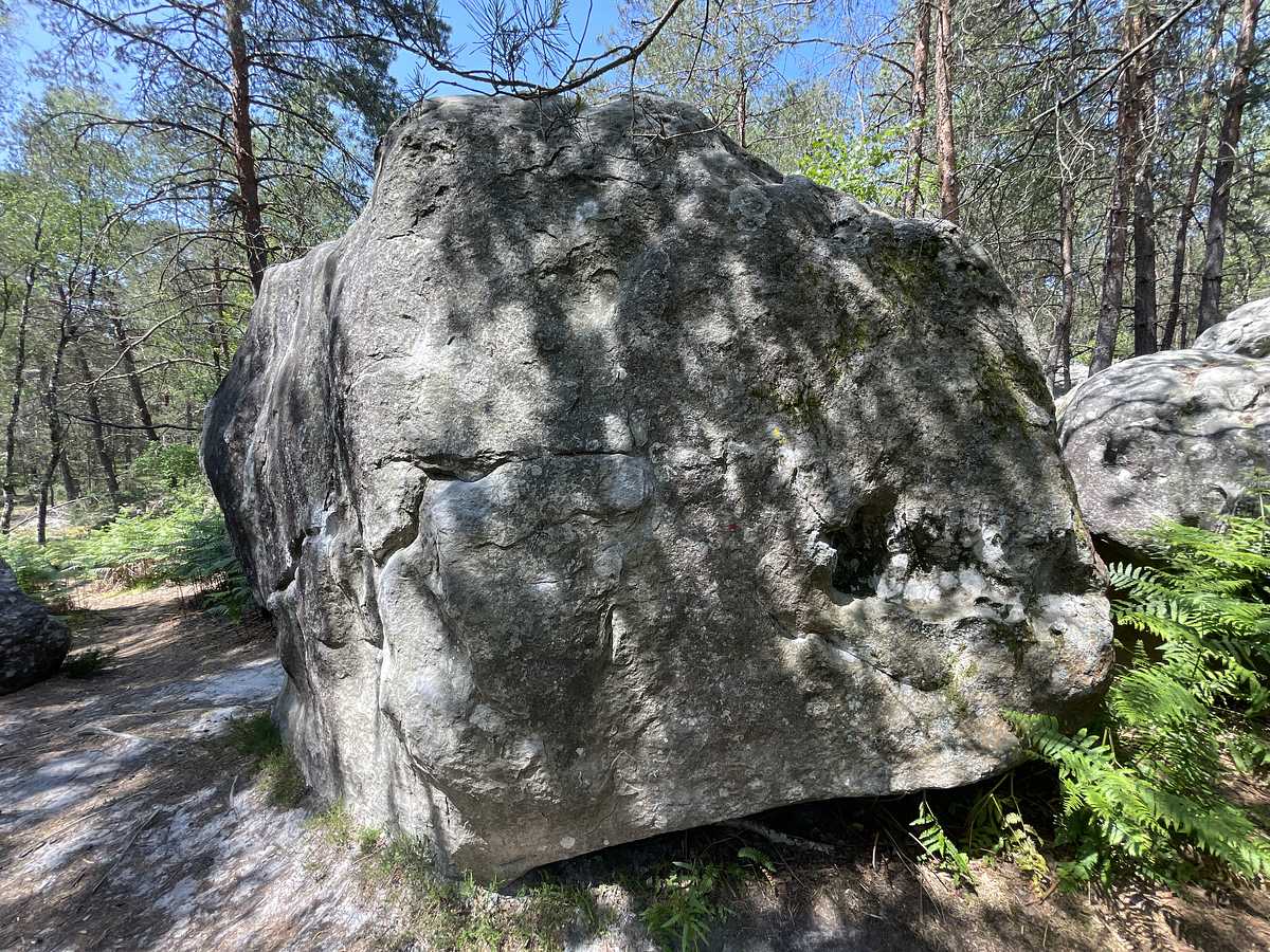 L'Aéronef – Bois Rond