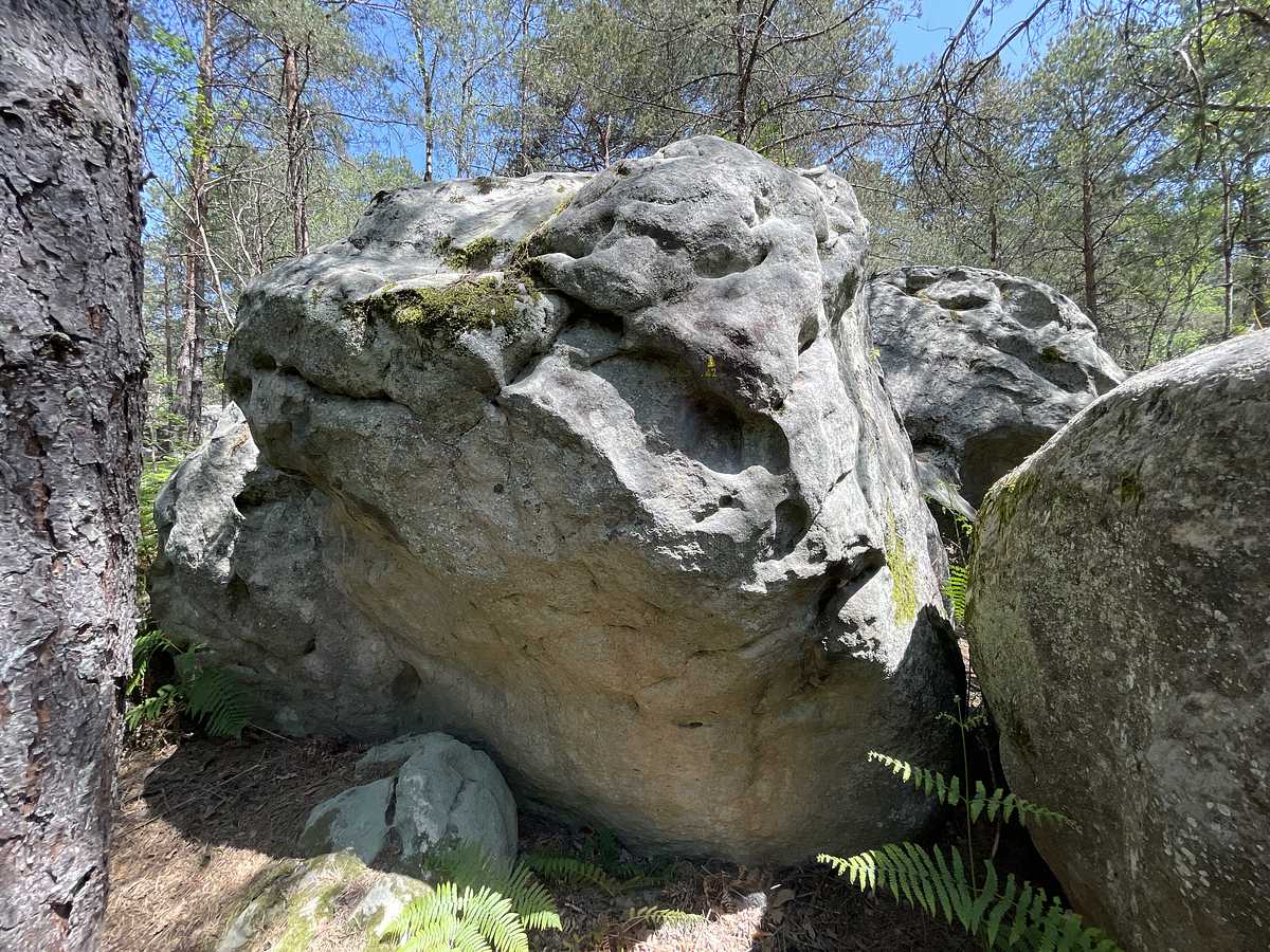 La Pulvérulente – Bois Rond
