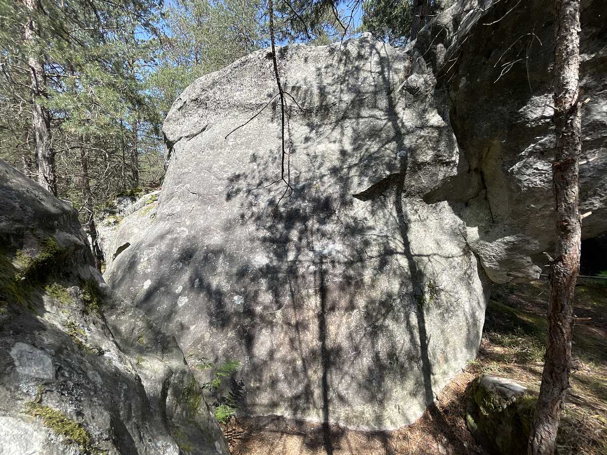 La Discrète – Bois Rond