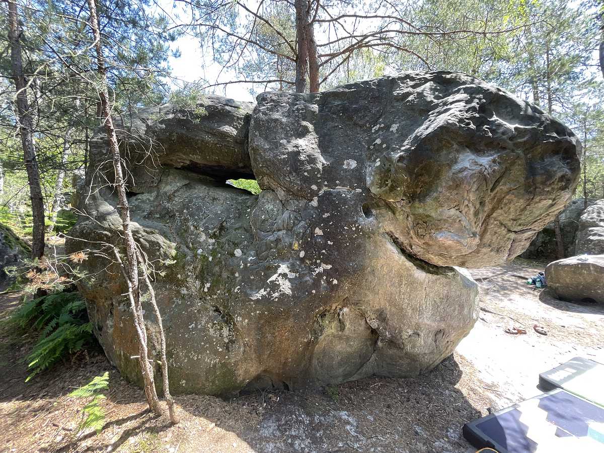 Mise à l'Écart – Bois Rond