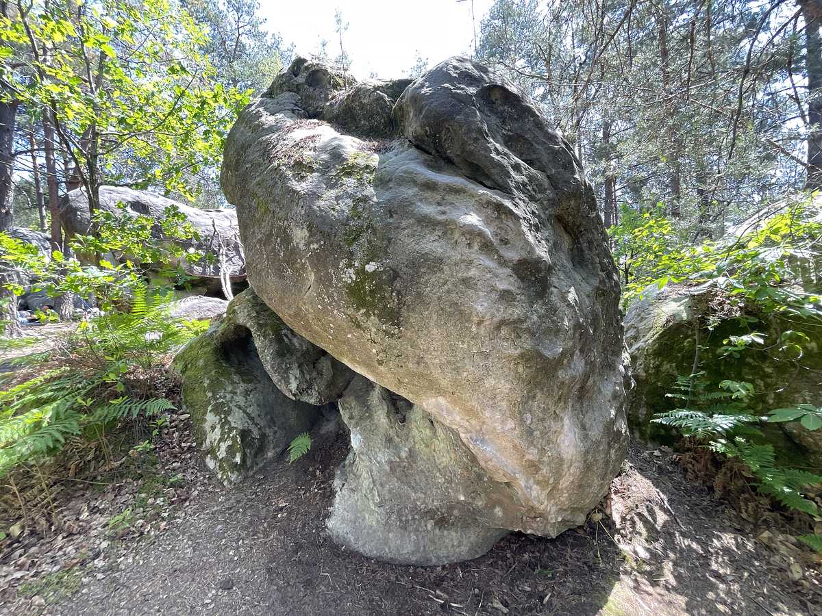 Le Bousier – Bois Rond