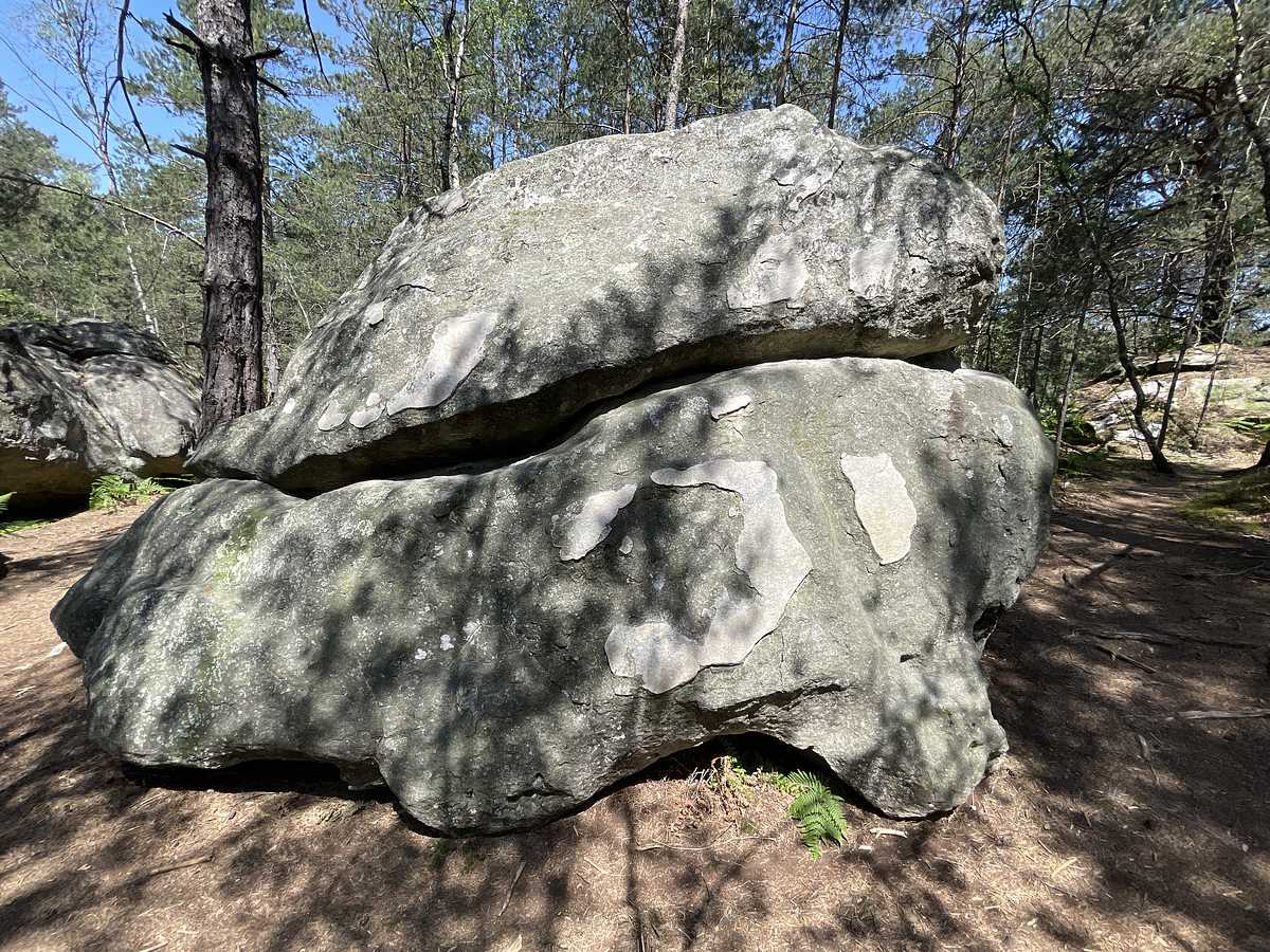 La Courte Échelle – Bois Rond
