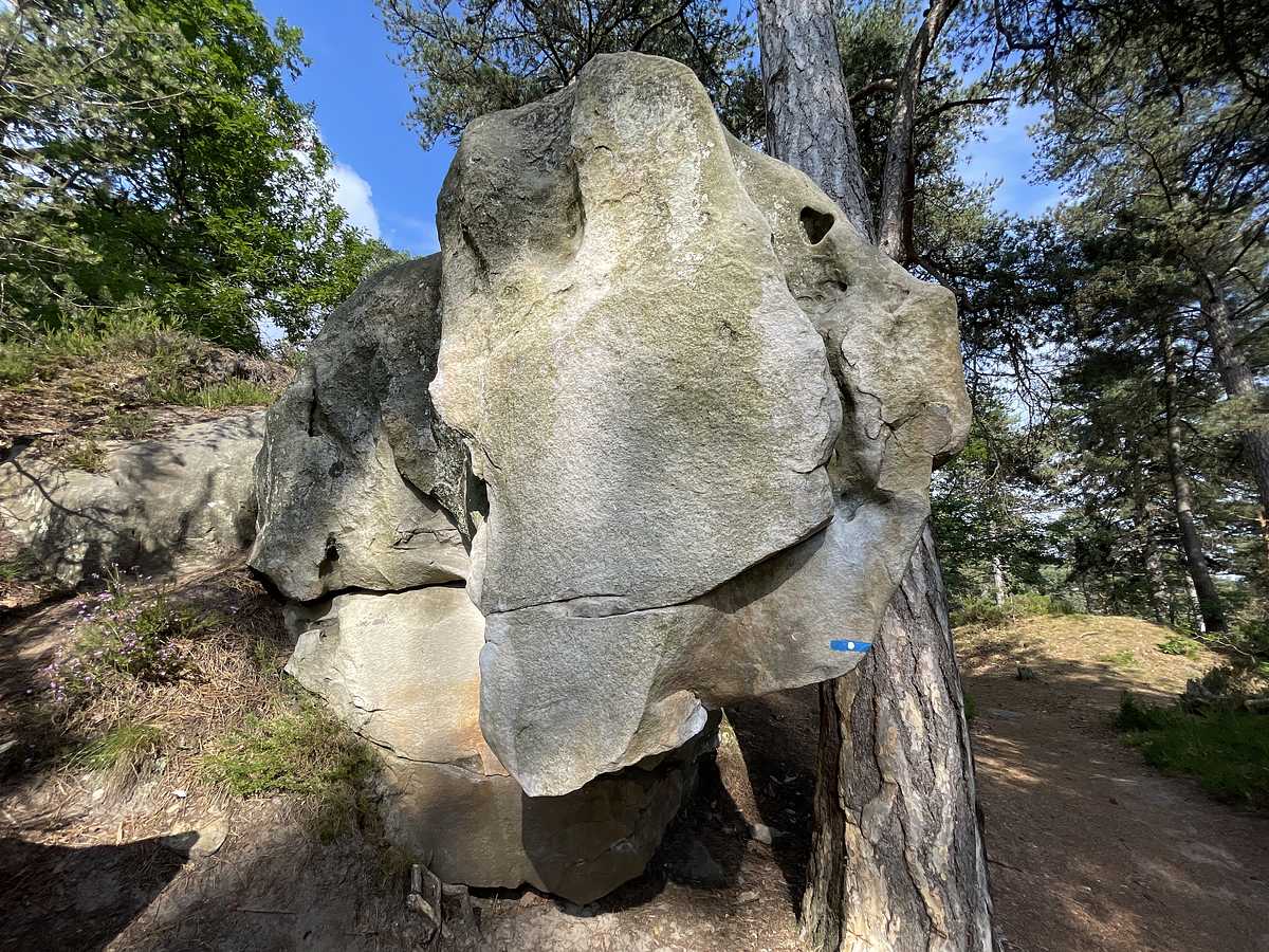 Presse Agrume – Secteur Roche d'Hercule