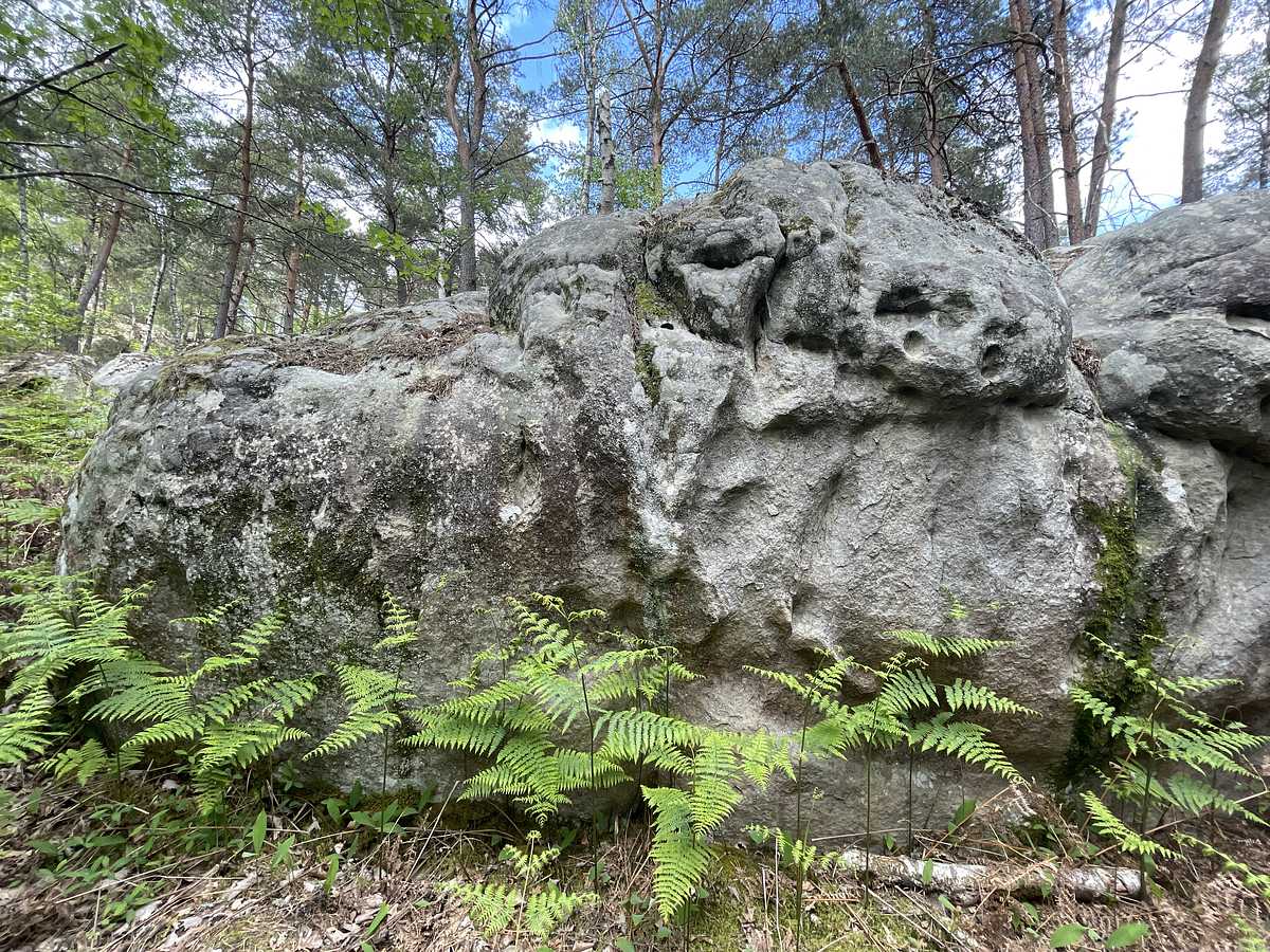 Photo du rocher avec les tracés