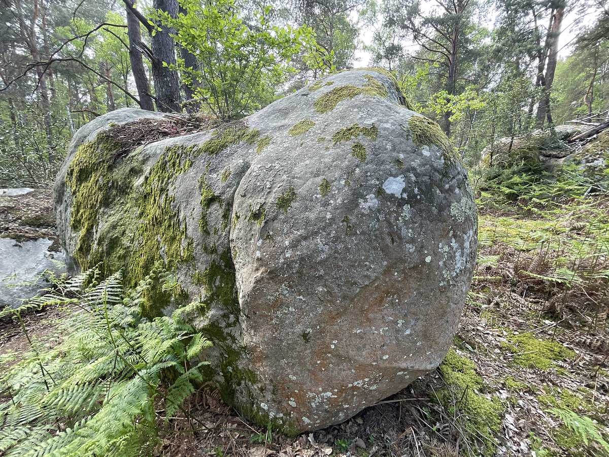 Photo du rocher avec les tracés