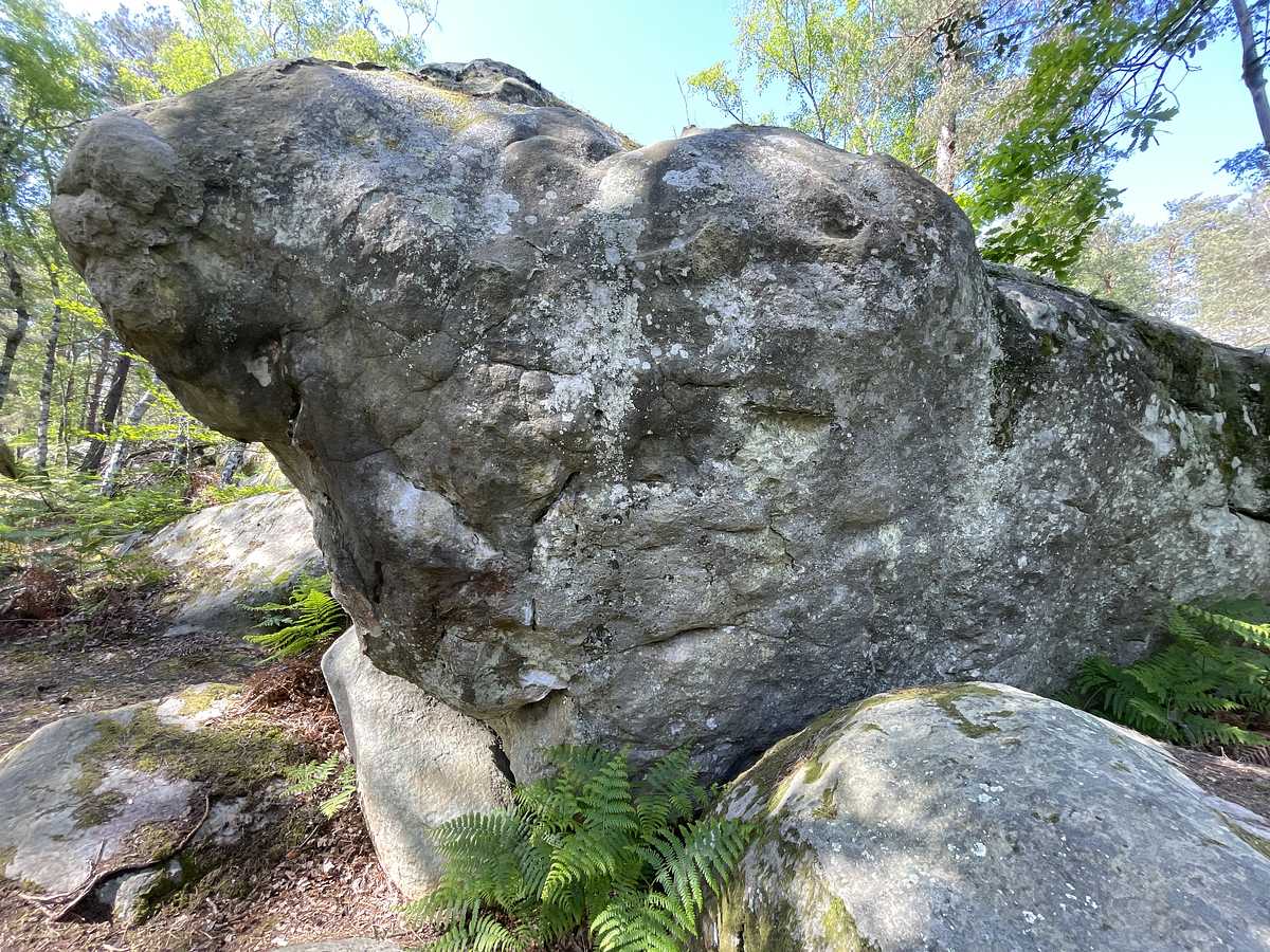 Photo du rocher avec les tracés