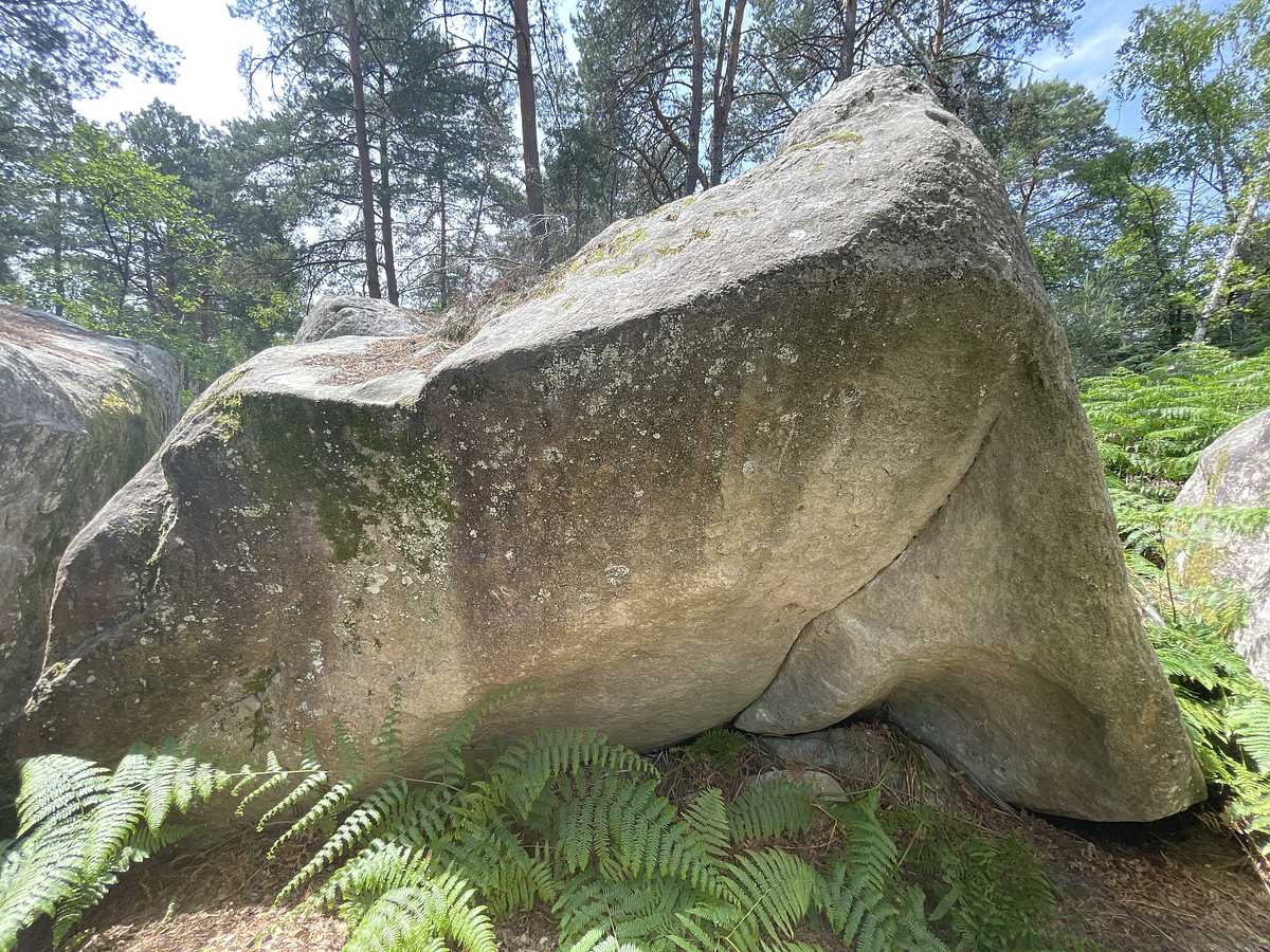 Photo du rocher avec les tracés