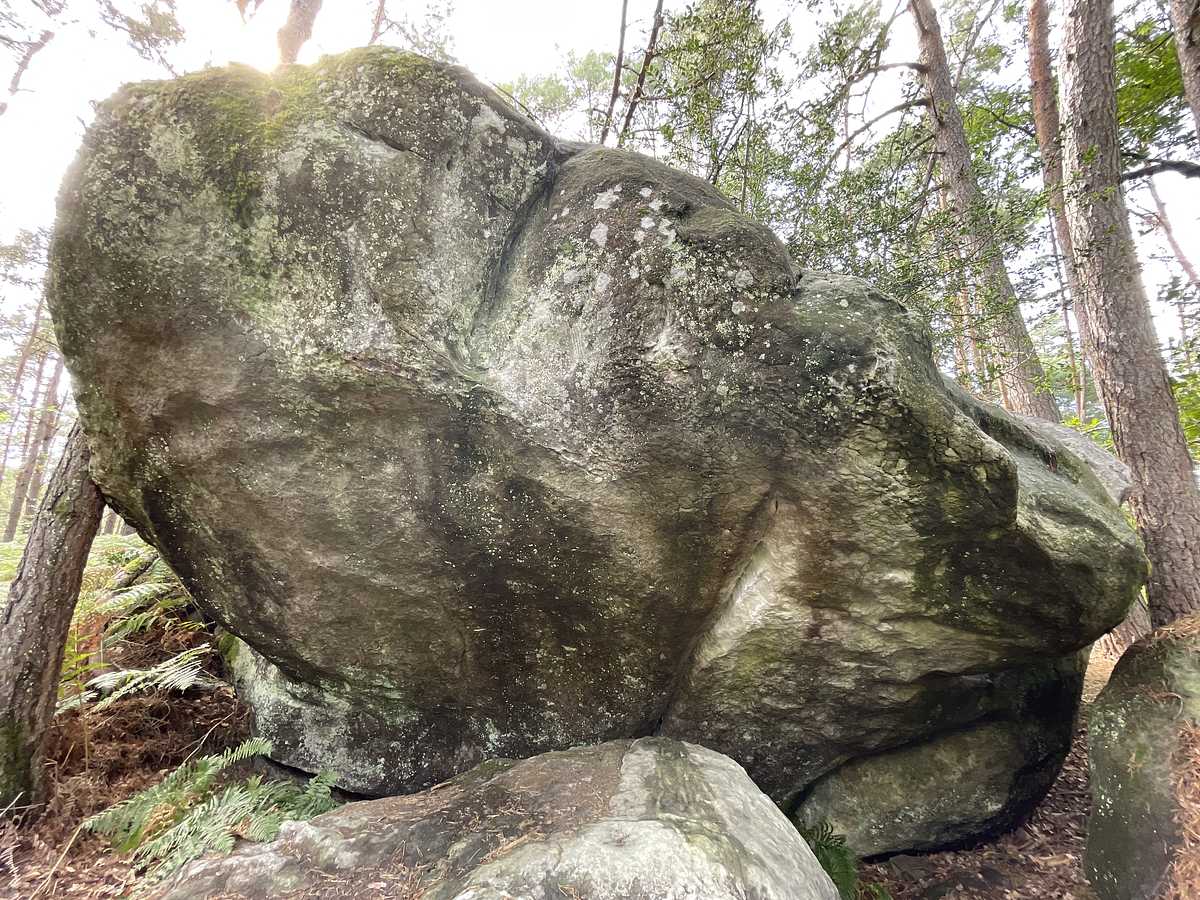 Cosmos – Mont Aigu