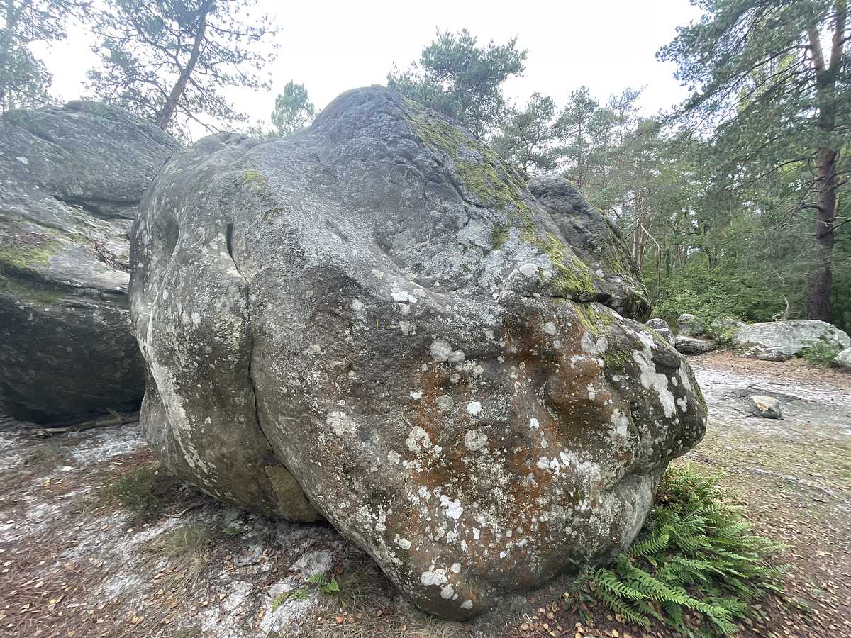 Photo du rocher avec les tracés