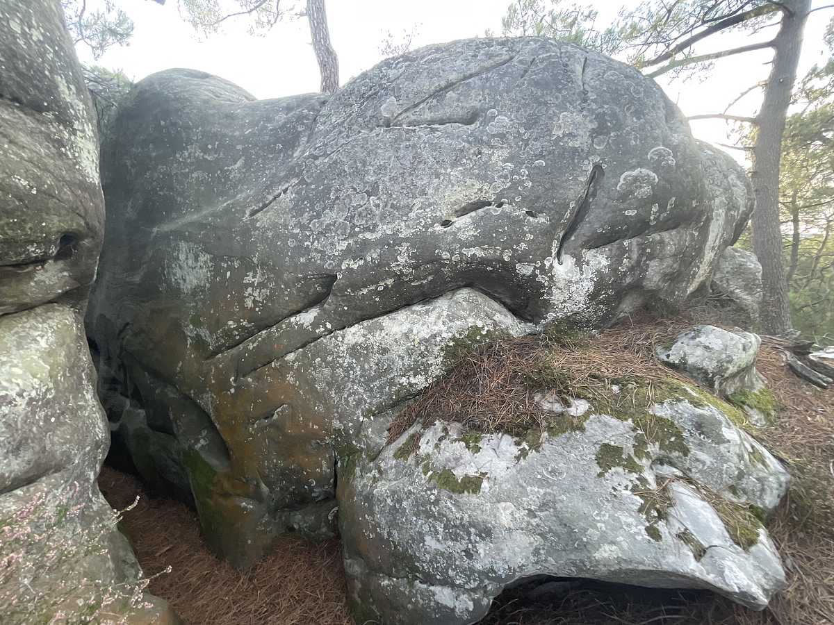 Petit Mur – Puiselet Mont Sarrasin