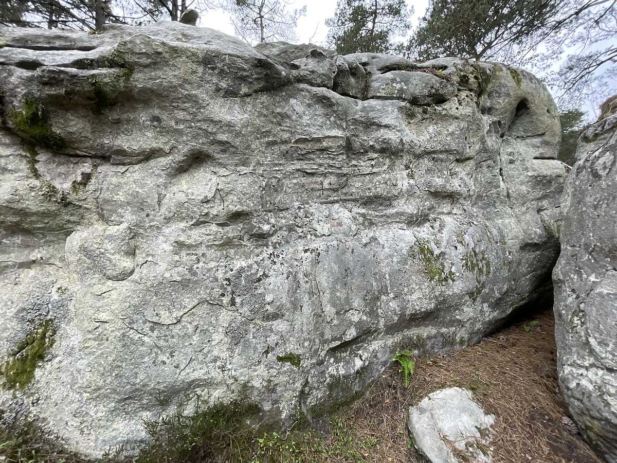 Le Cornouiller – Puiselet Mont Sarrasin