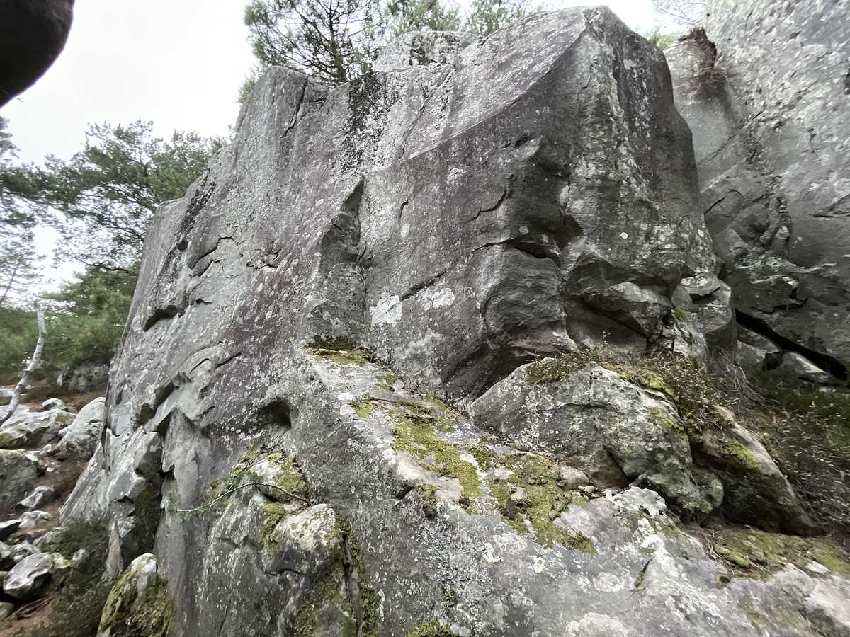 Le Palimpeste – Puiselet Mont Sarrasin