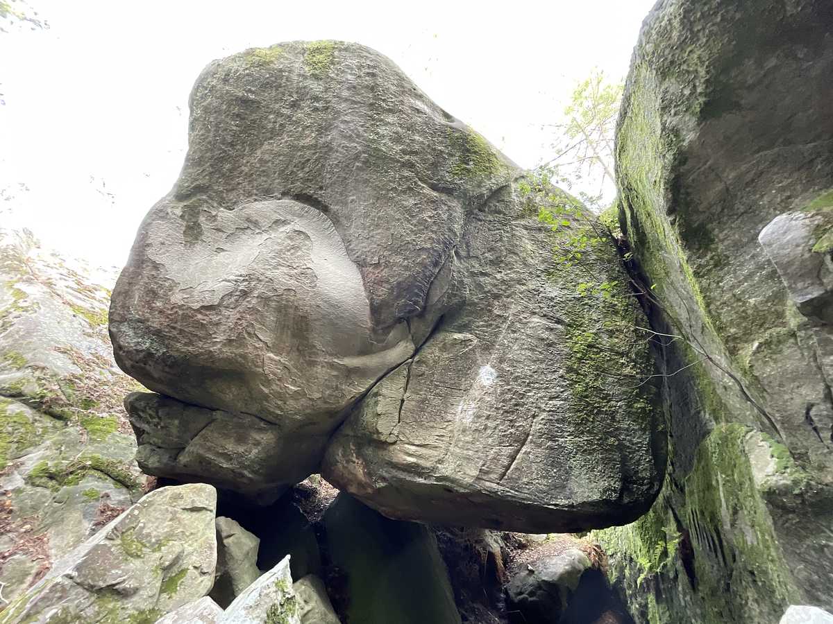 Pandémonium – Puiselet Mont Sarrasin