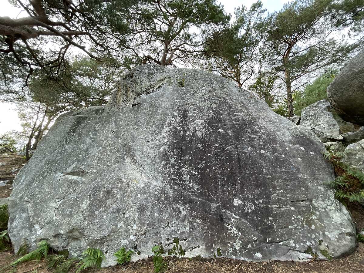 Sangora – Puiselet Mont Sarrasin