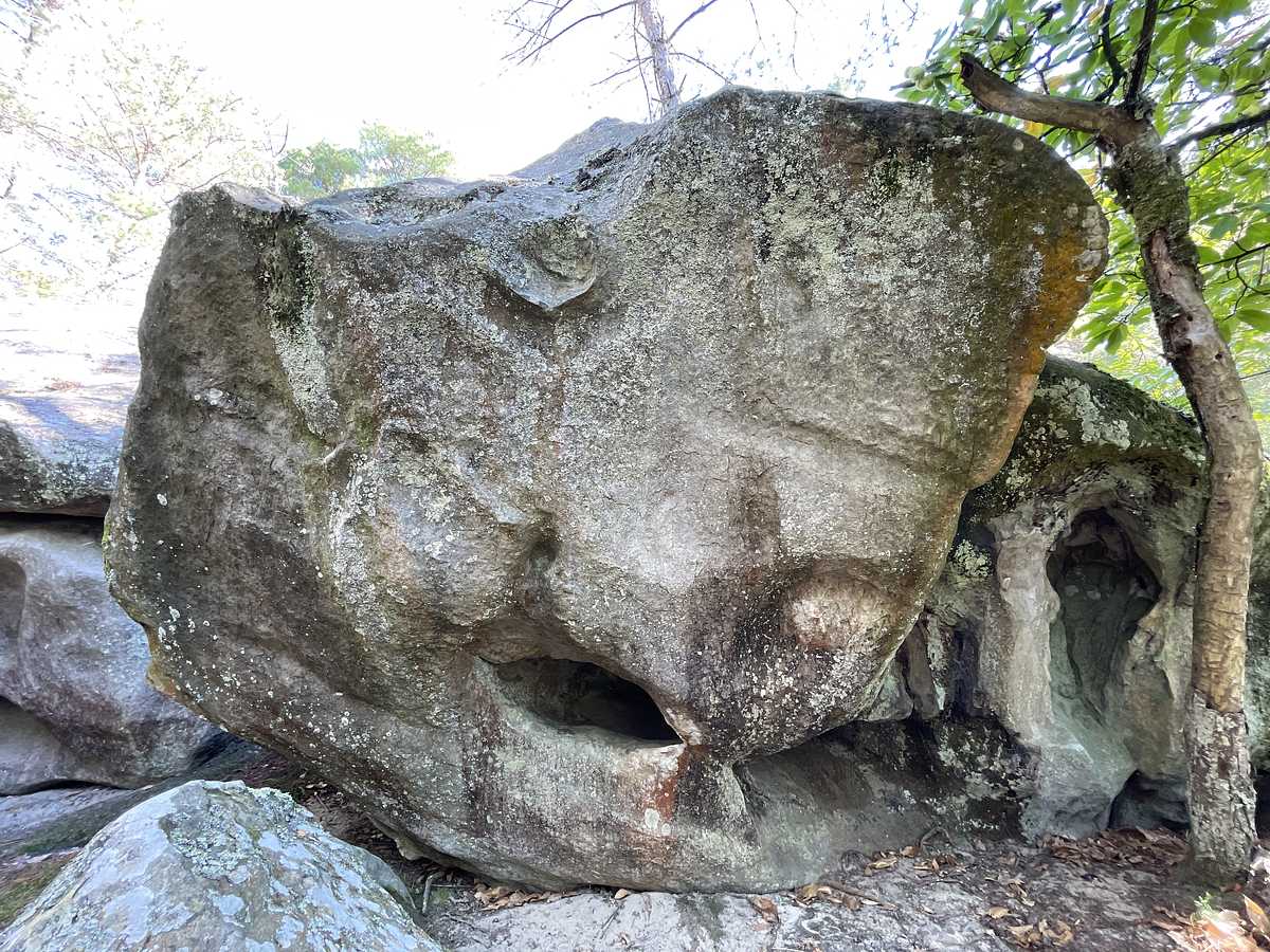 Formi-Cas – Secteur Grande Montagne