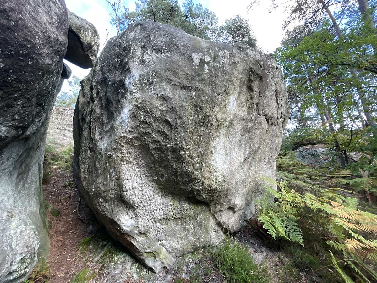 Frénésie – Secteur Cuvier Petit Rempart