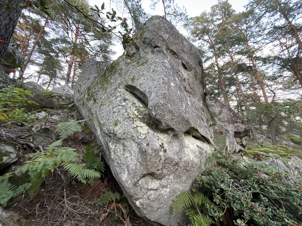Photo du rocher avec les tracés