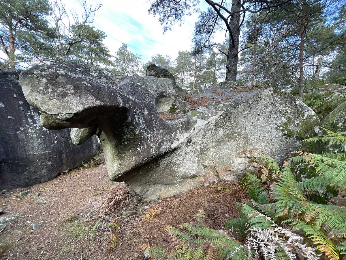 Photo du rocher avec les tracés