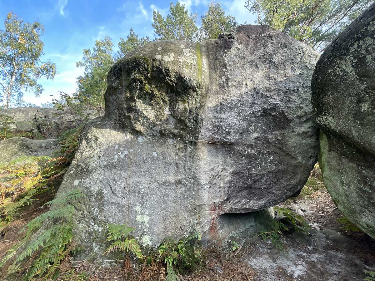 Fureur d'Éole – Secteur Cuvier Reconnaissance