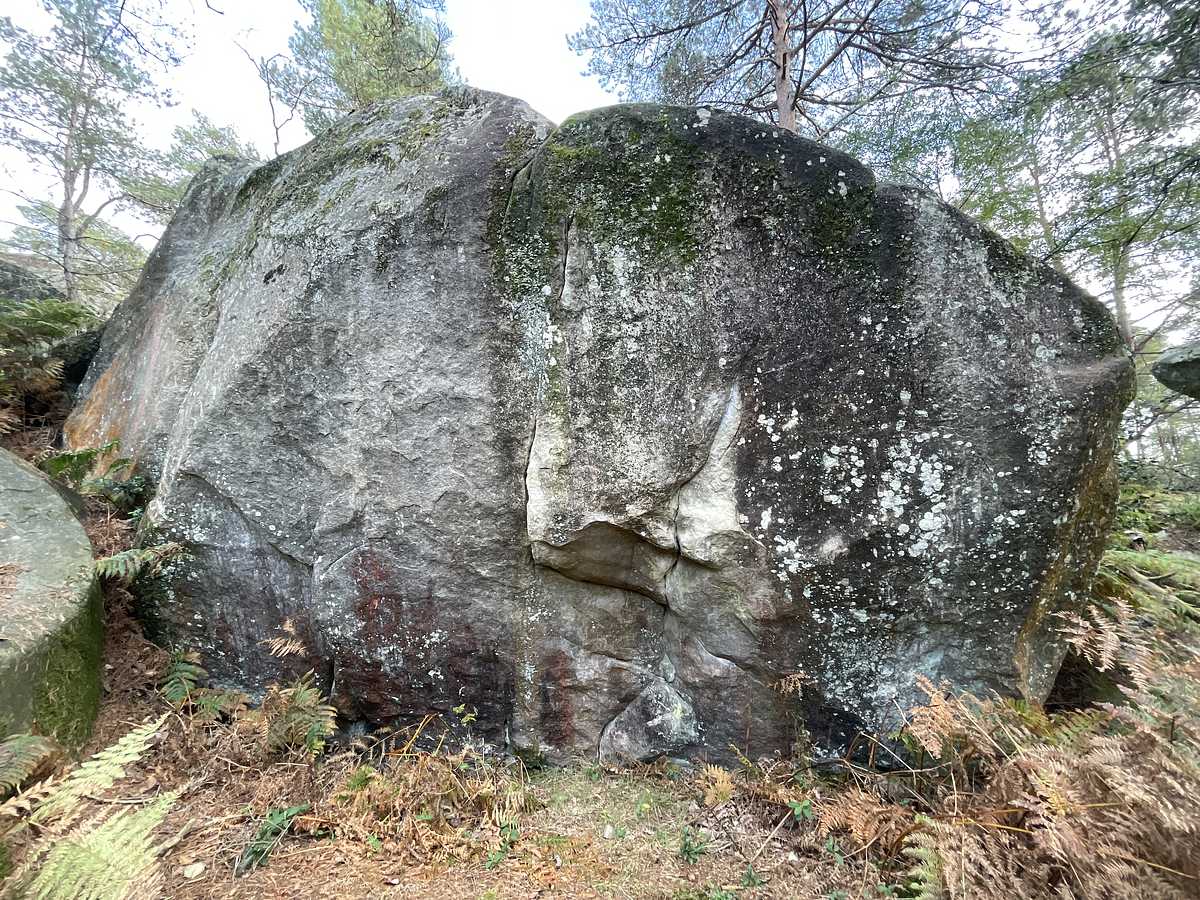 P'tit Poum – Secteur Cuvier Reconnaissance