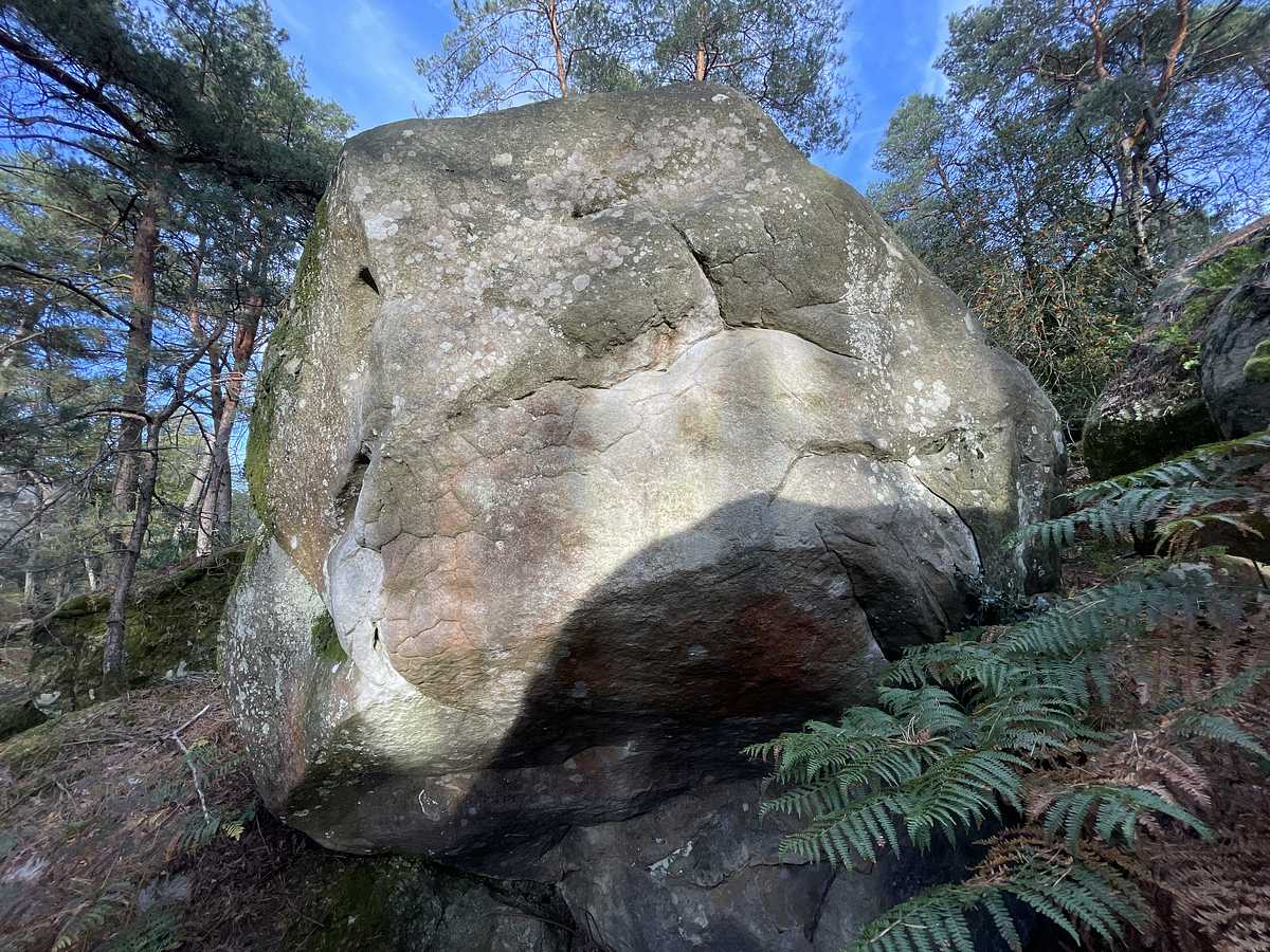Wallaby – Cuvier Reconnaissance
