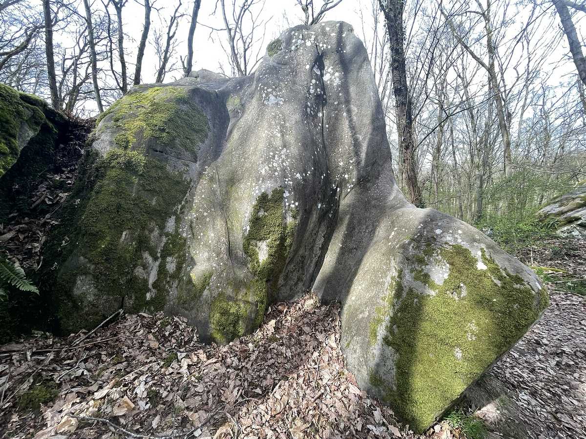 La Goulotte – Petit Bois