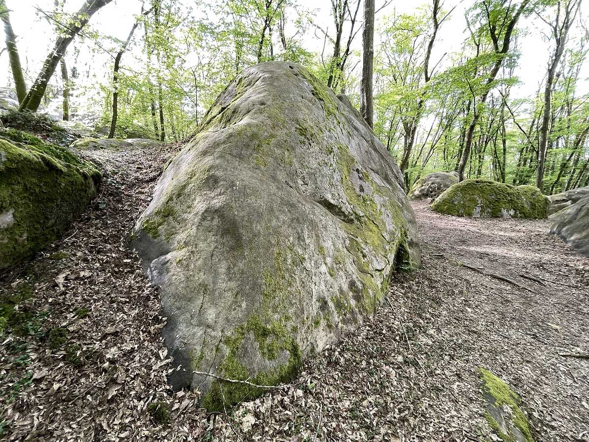 Photo du rocher avec les tracés