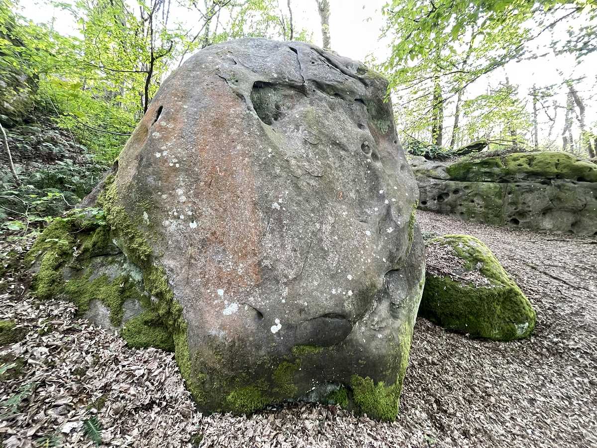 La Pierre d'Angle – Petit Bois