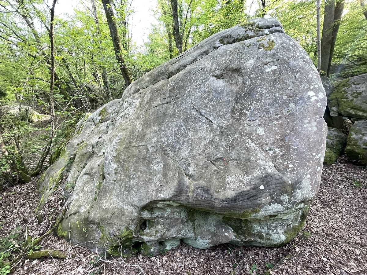 Silence à Saint-Pierre – Petit Bois