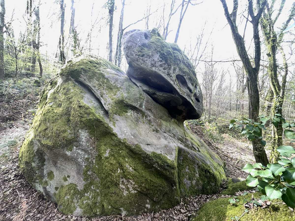 Photo du rocher avec les tracés