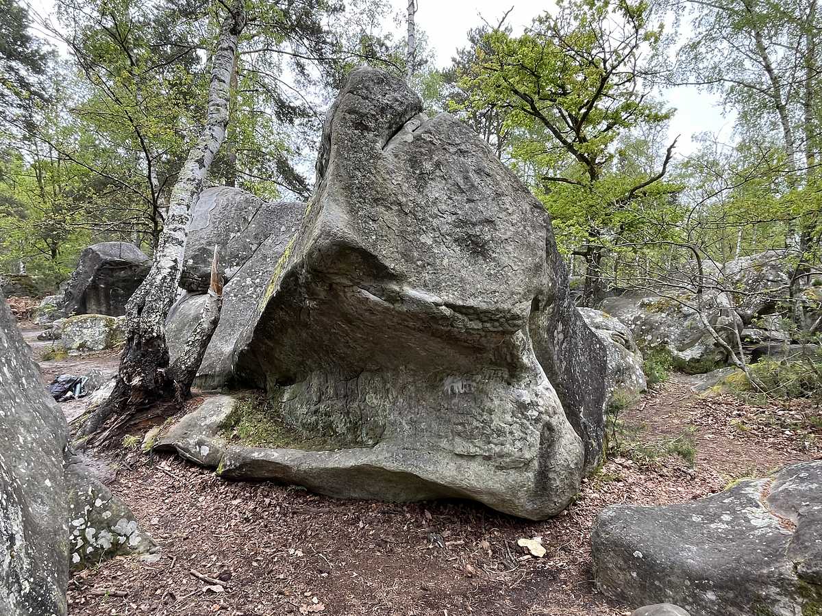 Photo du rocher avec les tracés