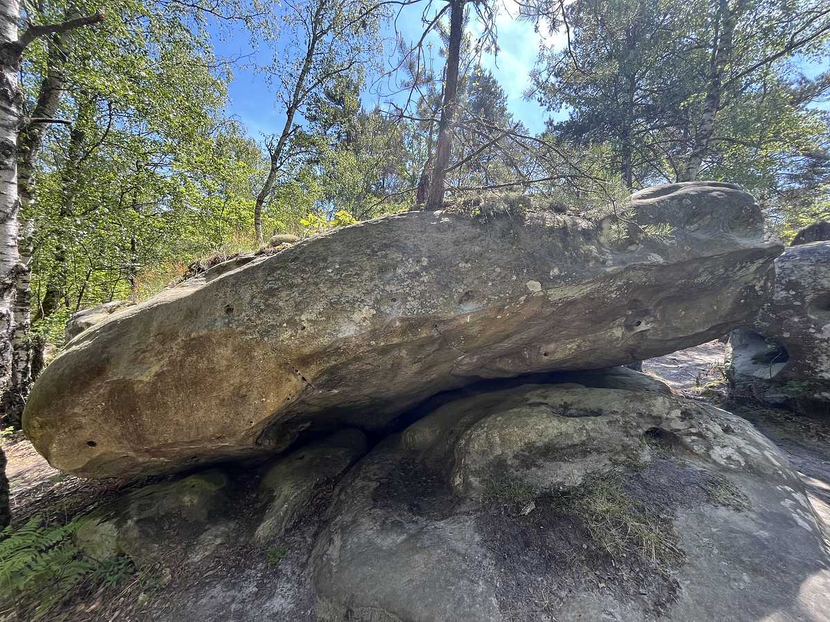 Le Planorme – Canche aux Merciers