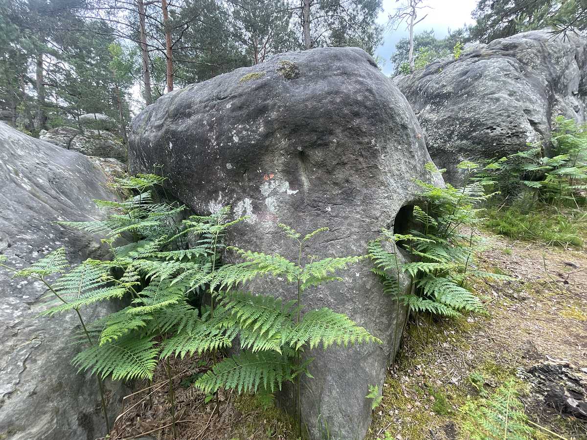 Photo du rocher avec les tracés