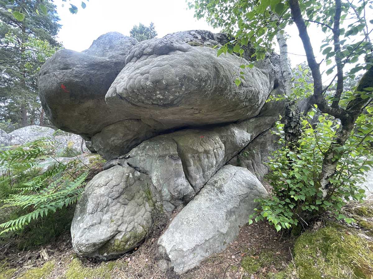 La Tortue de l'Envers – Apremont Envers