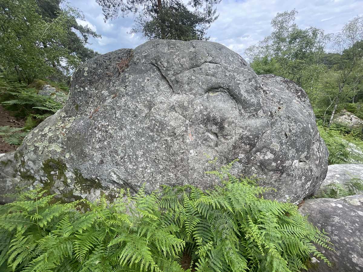 Photo du rocher avec les tracés