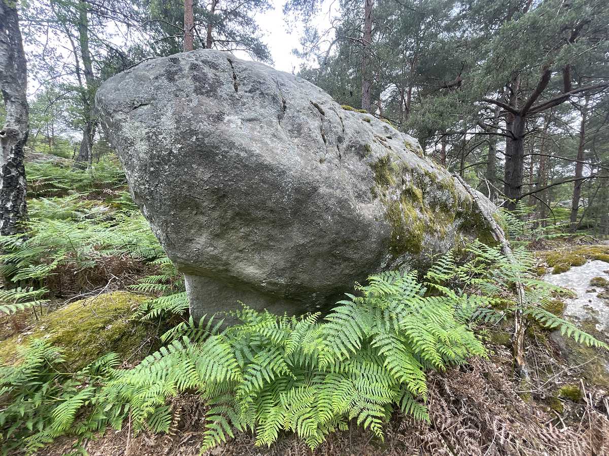 Photo du rocher avec les tracés