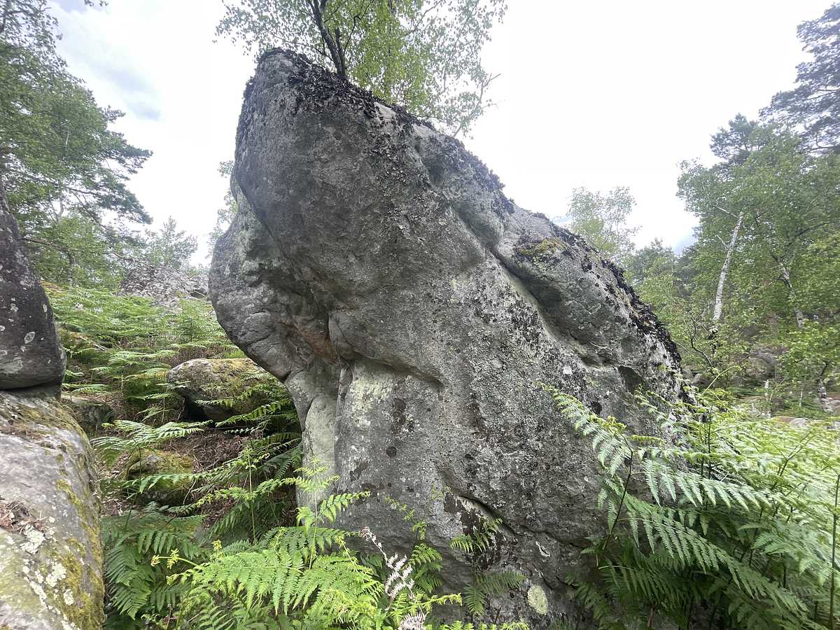 Photo du rocher avec les tracés