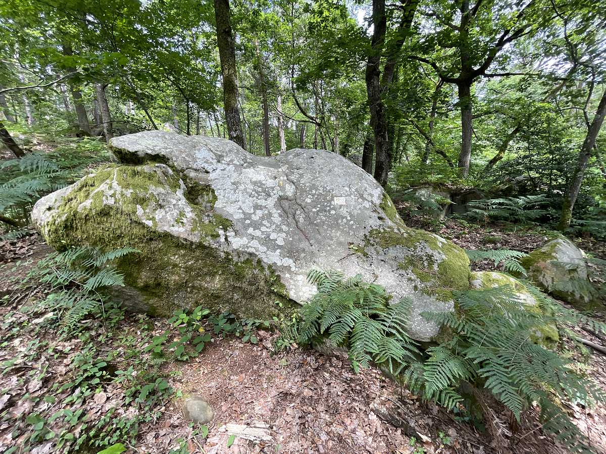 Jaune Départ – Mont Ussy Est