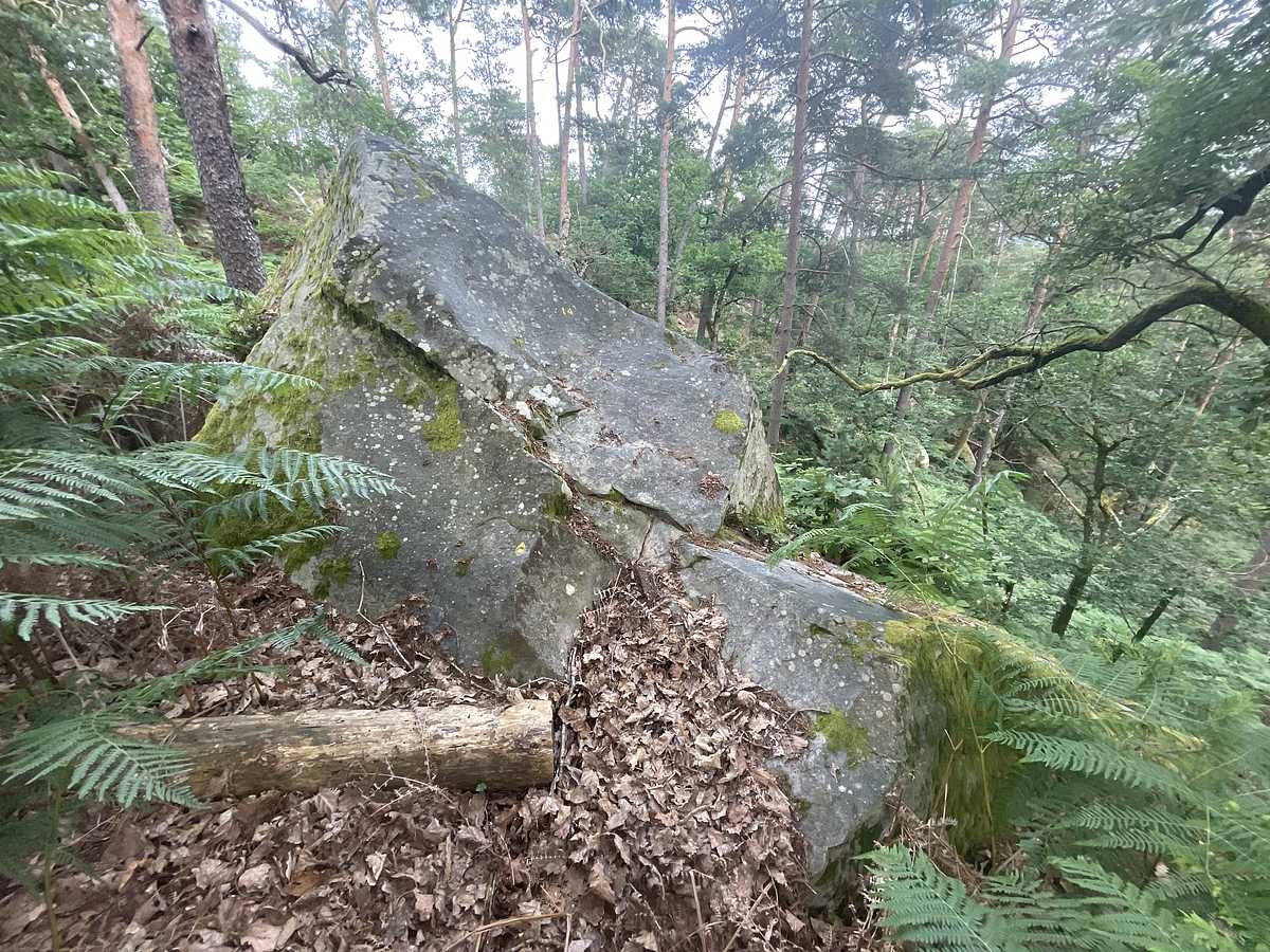 Le Gruyère – Mont Ussy Est