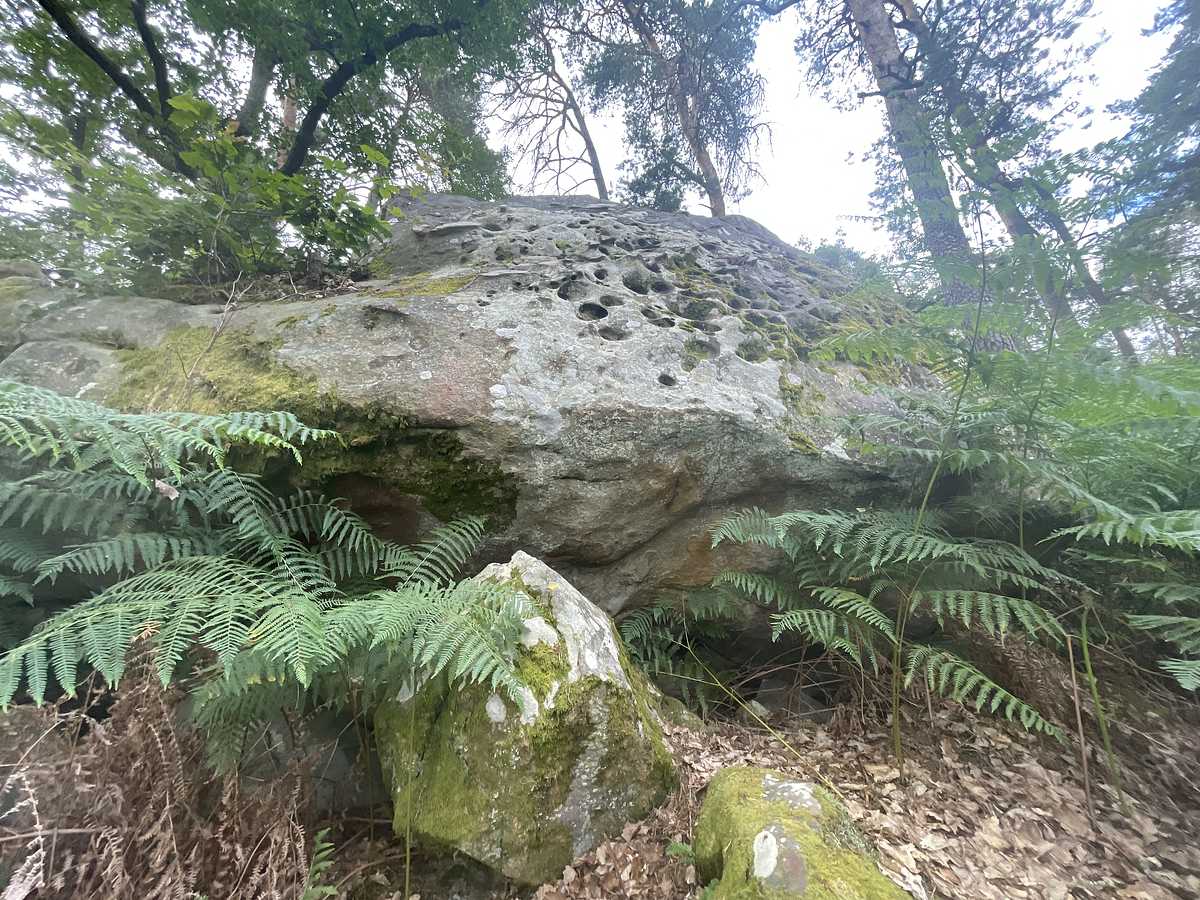 Le Gruyère – Mont Ussy Est