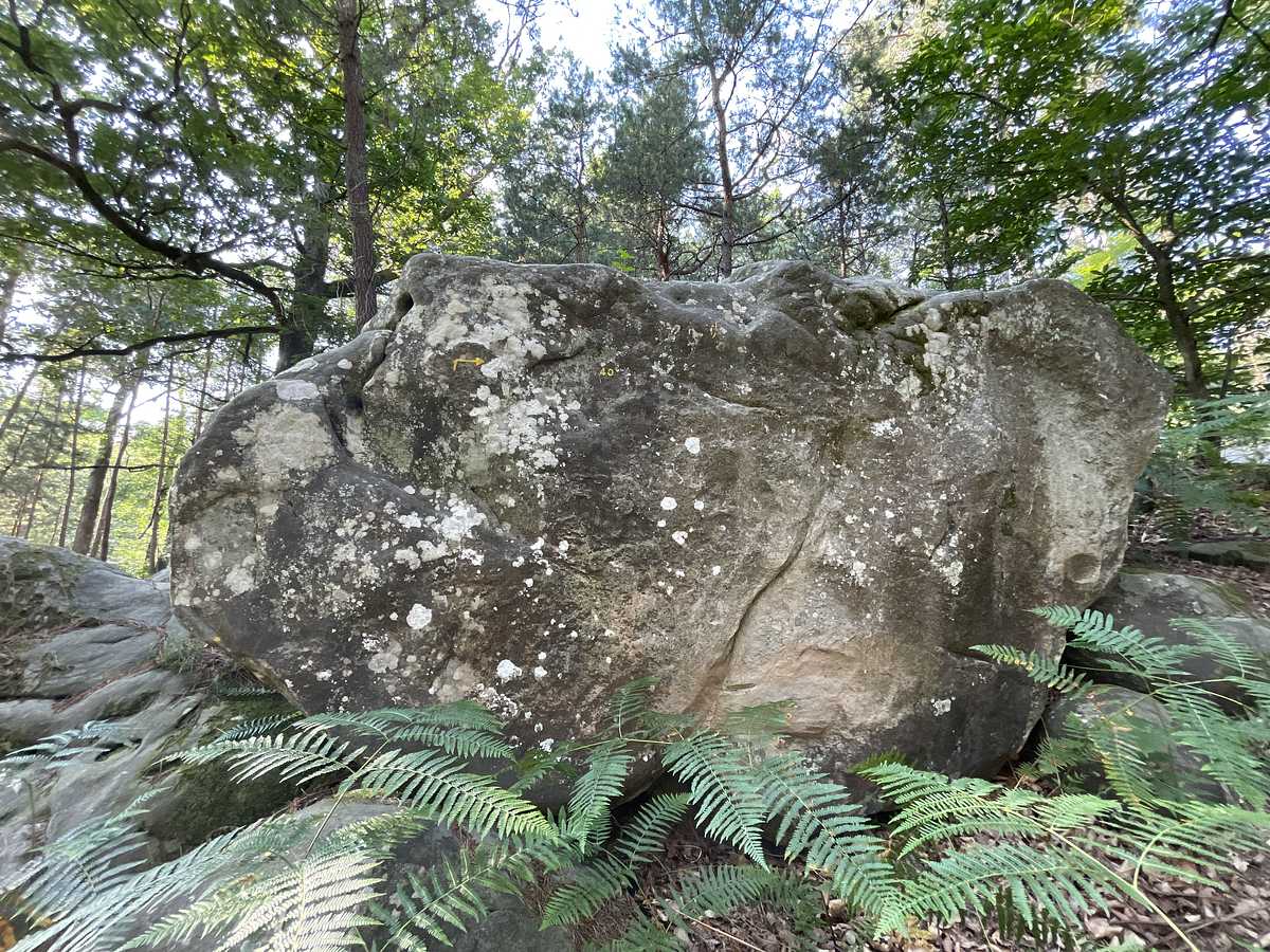 La S – Mont Ussy Est