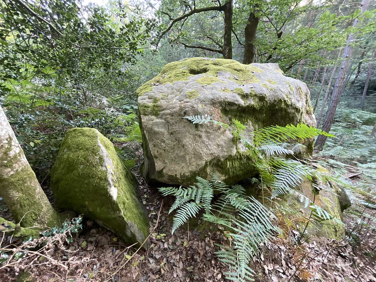 Photo du rocher avec les tracés